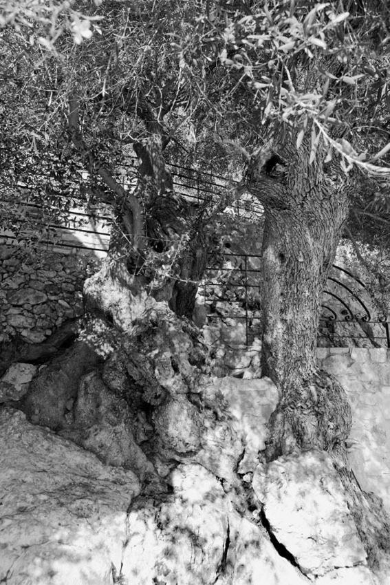 Agathes Traditional Houses Kástellos Dış mekan fotoğraf
